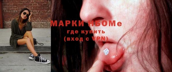 spice Инта