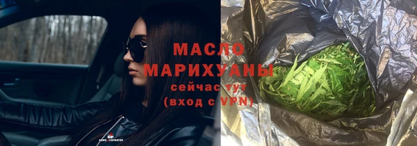 spice Инта