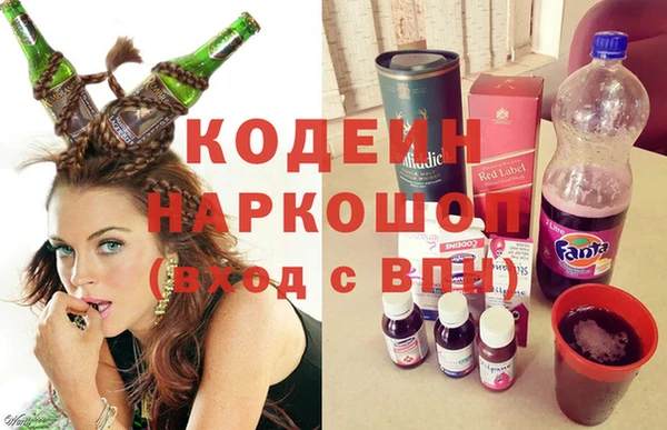 spice Инта