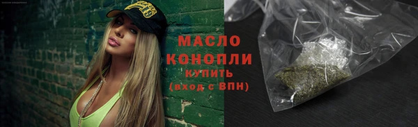 МДПВ Инсар
