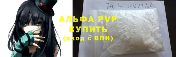 spice Инта