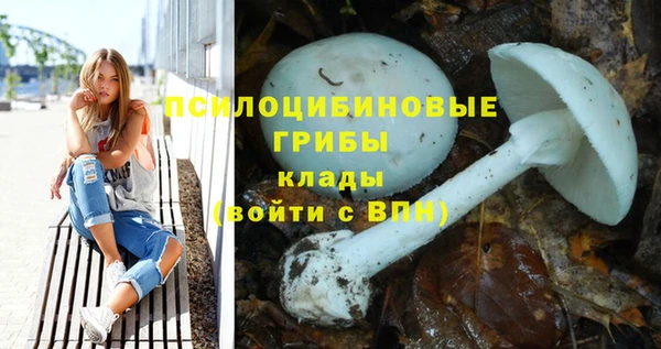 тгк Иннополис