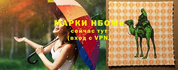 spice Инта