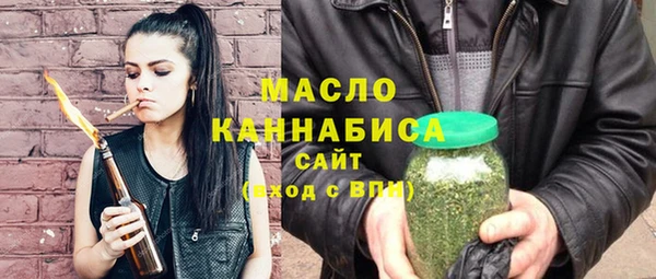 spice Инта