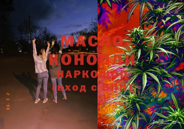 МДПВ Инсар