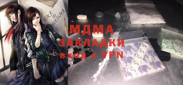 spice Инта