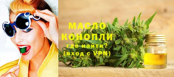 spice Инта