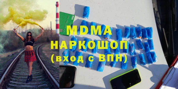 spice Инта