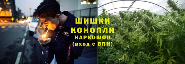 spice Инта