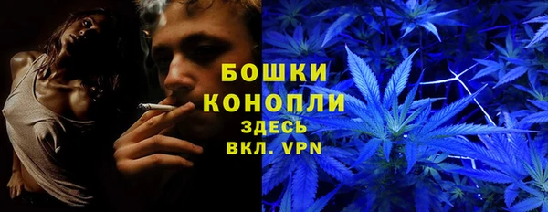 тгк Иннополис