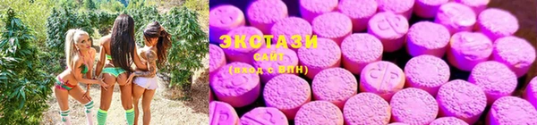 тгк Иннополис