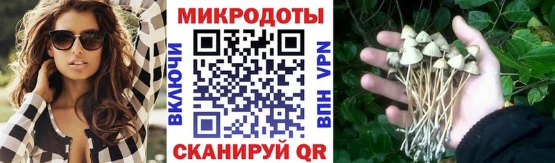 Купить  Дудинка  Галлюциногенные грибы Psilocybine cubensis 